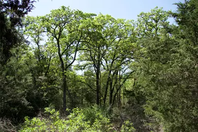 1035 Old Sayers Road, Elgin, TX 78621 - Photo 6