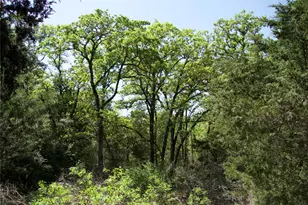 1035 Old Sayers Rd, Elgin, TX 78621 - Photo 6