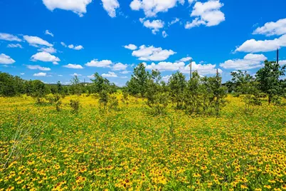 283 Hallford, Fredericksburg, TX 78624 - Photo 32
