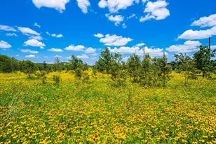 283 Hallford, Fredericksburg, TX 78624 - Photo 32