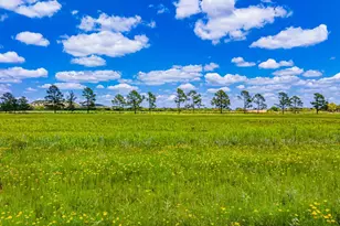 283 Hallford, Fredericksburg, TX 78624 - Photo 20