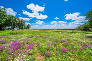 283 Hallford, Fredericksburg, TX 78624 - Photo 30