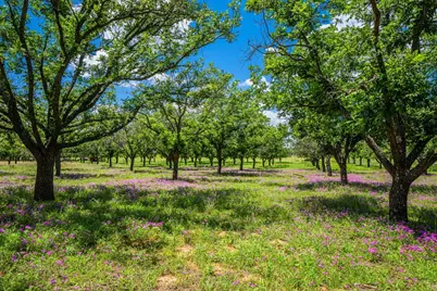 283 Hallford, Fredericksburg, TX 78624 - Photo 36