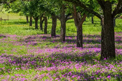 283 Hallford, Fredericksburg, TX 78624 - Photo 34
