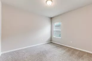 348 Shiner Ln, Georgetown, TX 78626 - Photo 22