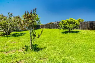 148 Buttercup Way, Kyle, TX 78640 - Photo 30