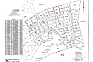 9071 Sandia Loop, Kingsland, TX 78639 - Photo 6