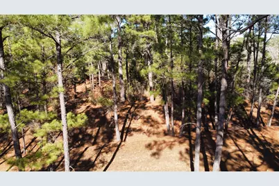 0 Pine Lodge Drive Lot 26, Bastrop, TX 78602 - Photo 6