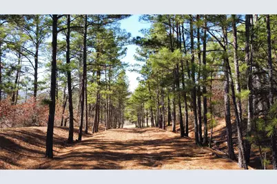 0 Pine Lodge Drive Lot 26, Bastrop, TX 78602 - Photo 4