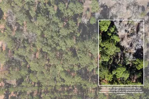 0 Pine Lodge Dr Lot 26, Bastrop, TX 78602 - Photo 1