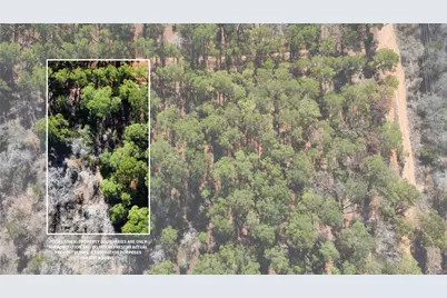 0 Pine Lodge Drive Lot 26, Bastrop, TX 78602 - Photo 8