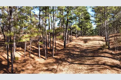 0 Pine Lodge Drive Lot 26, Bastrop, TX 78602 - Photo 2
