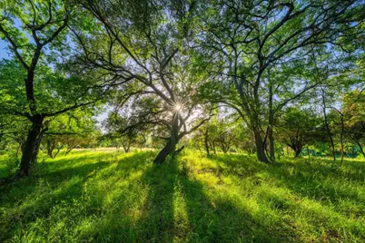 00 Ligon-Smith Lane, Johnson City, TX 78636 - Photo 24