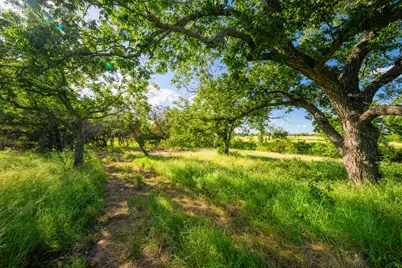 00 Ligon-Smith Lane, Johnson City, TX 78636 - Photo 14