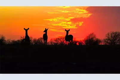 218 Brody Lane, Bastrop, TX 78602 - Photo 8