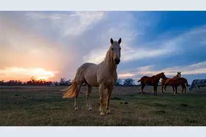 218 Brody Lane, Bastrop, TX 78602 - Photo 18