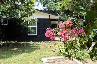 3002 Brinwood Avenue, Austin, TX 78704 - Photo 4