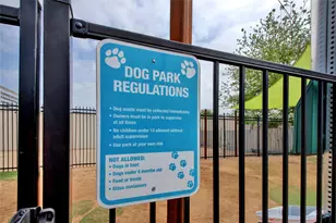 909 Reinli St, Austin, TX 78751 - Photo 24