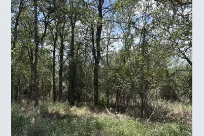 Tbd Honolulu Lane, Bastrop, TX 78602 - Photo 2