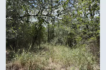 Tbd Honolulu Lane, Bastrop, TX 78602 - Photo 6