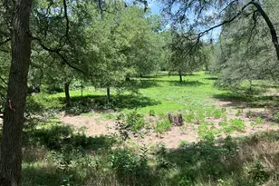 344 & 343 Bateman Rd, Red Rock, TX 78662 - Photo 14