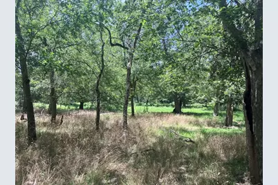 344 & 343 Bateman Road, Red Rock, TX 78662 - Photo 12