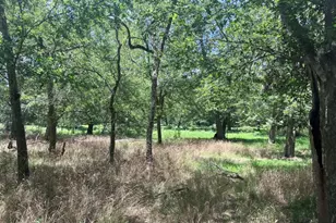 344 & 343 Bateman Rd, Red Rock, TX 78662 - Photo 12