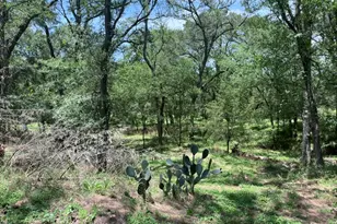 344 & 343 Bateman Rd, Red Rock, TX 78662 - Photo 10