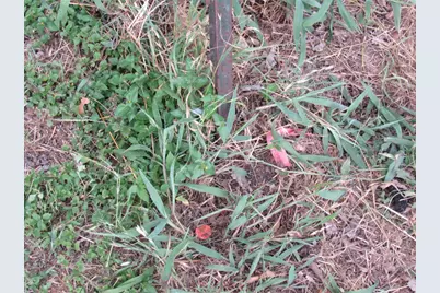 210 E E Carrie Manor Road, Manor, TX 78653 - Photo 14