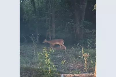 731 Stokes Street, Rockdale, TX 76567 - Photo 6