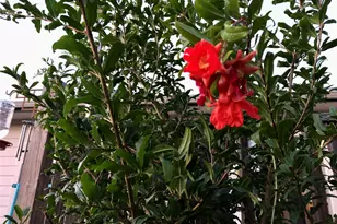 5013 Sendero Springs Dr, Round Rock, TX 78681 - Photo 38