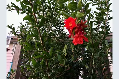 5013 Sendero Springs Drive, Round Rock, TX 78681 - Photo 38