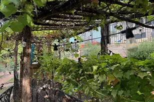 306 Tavish Trail, Austin, TX 78738 - Photo 36