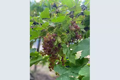 306 Tavish Trail, Austin, TX 78738 - Photo 38