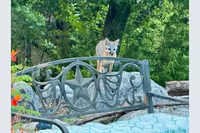 306 Tavish Trail, Austin, TX 78738 - Photo 40