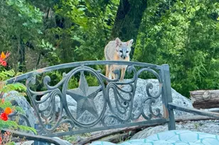 306 Tavish Trail, Austin, TX 78738 - Photo 40