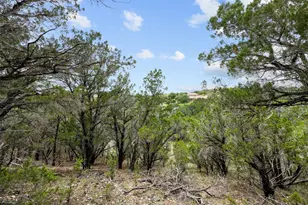 906 Moonlight Bay Dr, Spicewood, TX 78669 - Photo 8