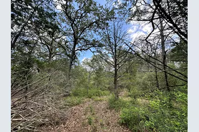 000 Oah Court, Bastrop, TX 78602 - Photo 10