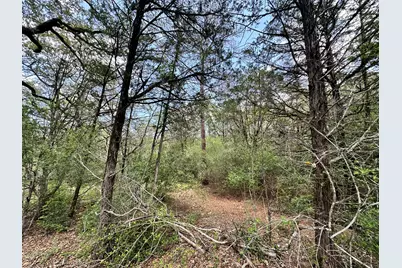 000 Oah Court, Bastrop, TX 78602 - Photo 6