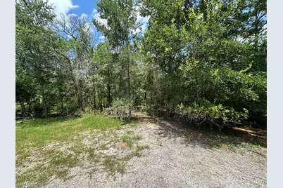 000 Oah Court, Bastrop, TX 78602 - Photo 2