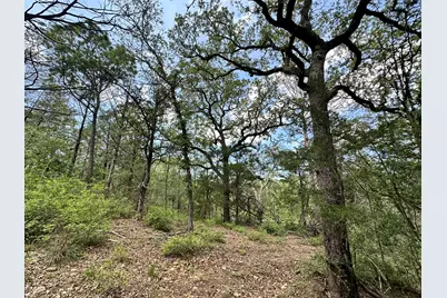 000 Oah Court, Bastrop, TX 78602 - Photo 8