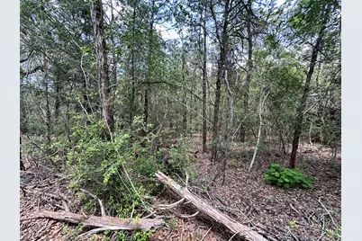000 Oah Court, Bastrop, TX 78602 - Photo 4