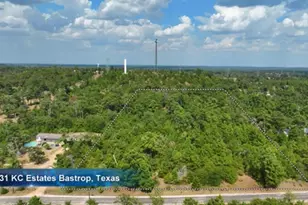 Tbd Pine Tree Loop, Bastrop, TX 78602 - Photo 1