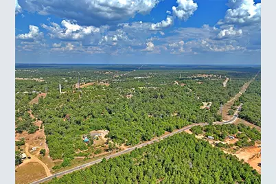 Tbd Pine Tree Loop, Bastrop, TX 78602 - Photo 8