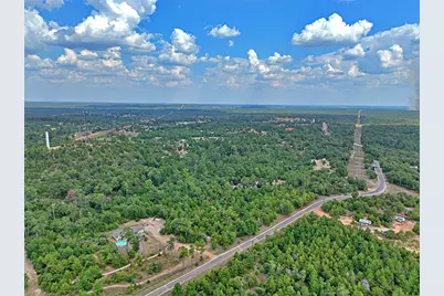 Tbd Pine Tree Loop, Bastrop, TX 78602 - Photo 6