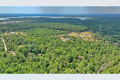 Tbd Pine Tree Loop, Bastrop, TX 78602 - Photo 4