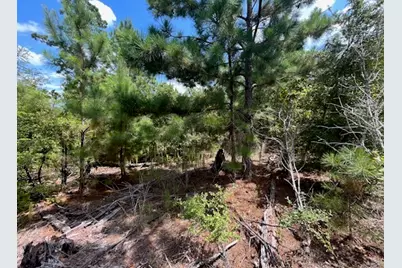 Tbd Pine Tree Loop, Bastrop, TX 78602 - Photo 10