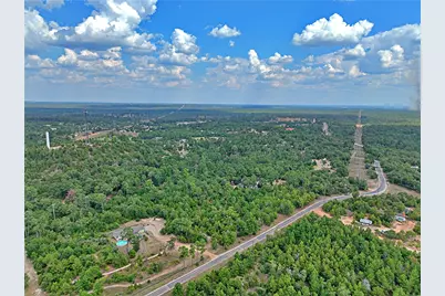 Tbd Pine Tree Loop, Bastrop, TX 78602 - Photo 6