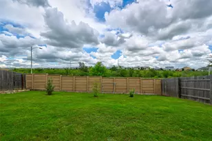 11007 Strawberry Roan Dr, Manor, TX 78653 - Photo 6