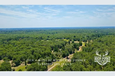 Tbd Ranch Road Off Cr 405 (+/- 245 Acres), Lexington, TX 78947 - Photo 10